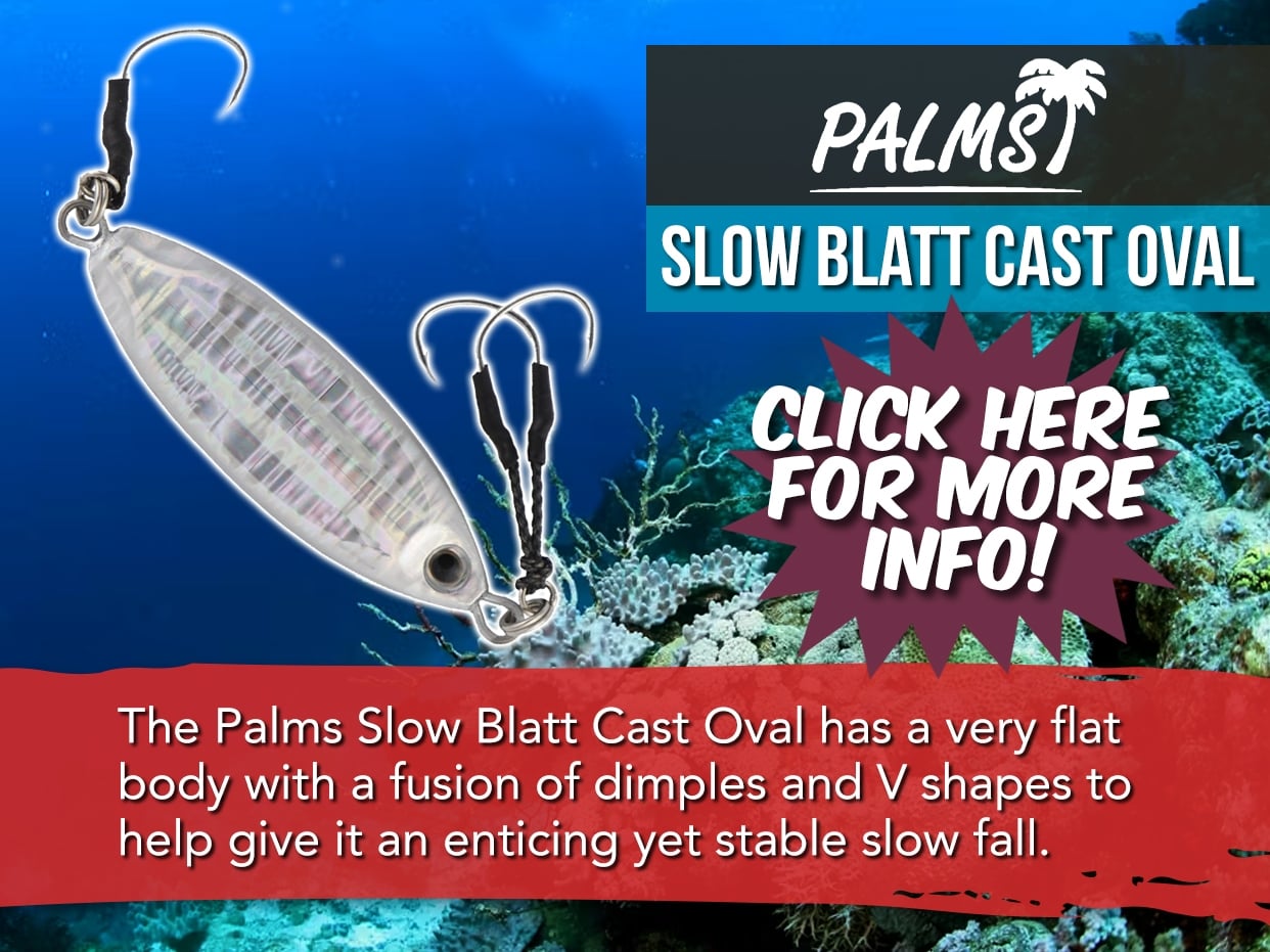 PALMS SLOW BLATT CAST - OVAL