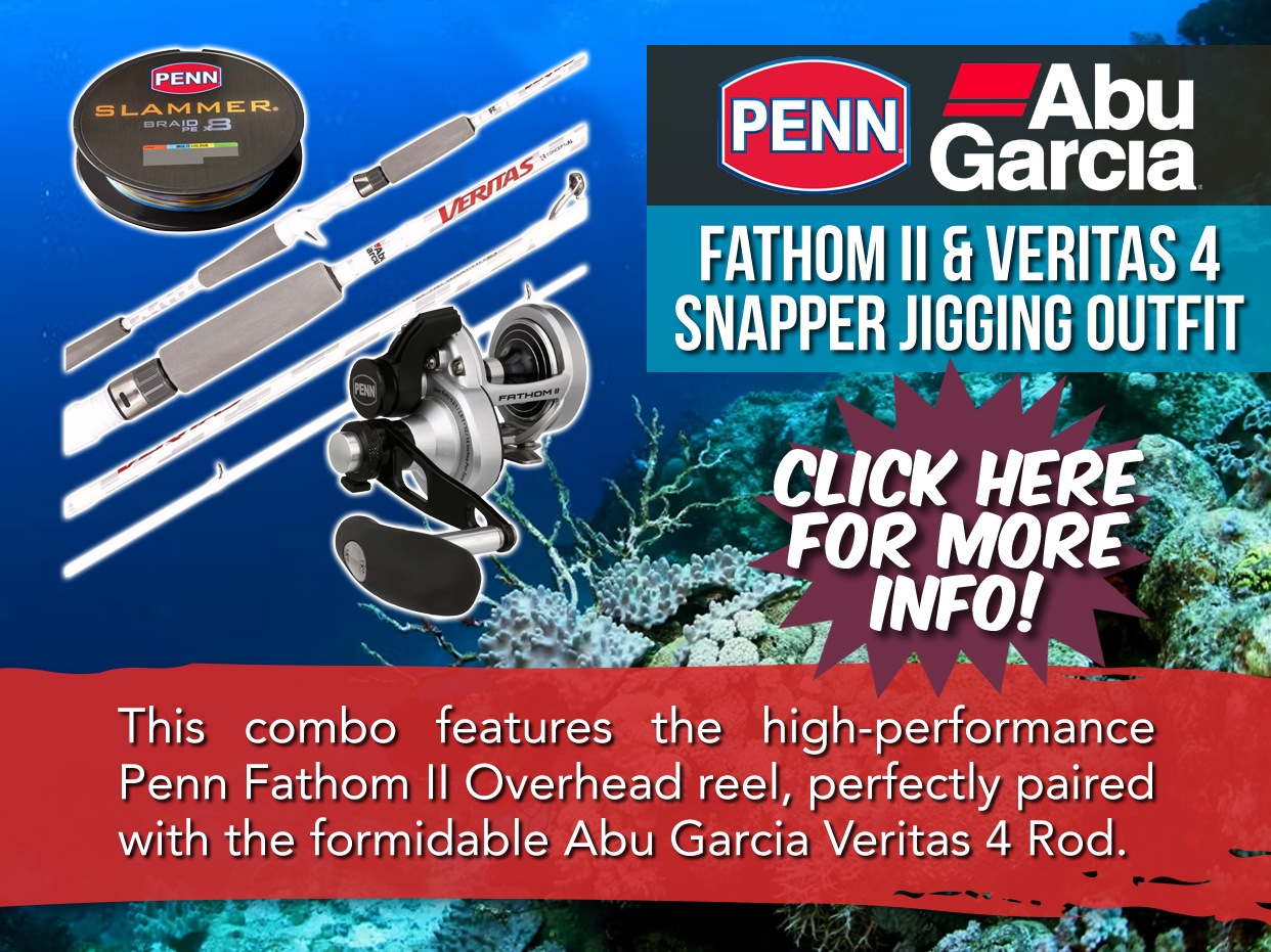 PENN FATHOM II REEL & VERITAS 4 SNAPPER JIGGING COMBO
