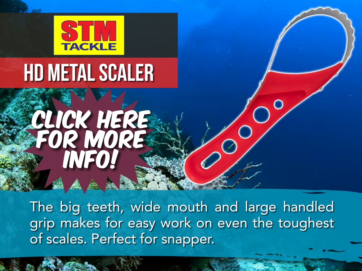 STM HEAVY DUTY METAL SCALER
