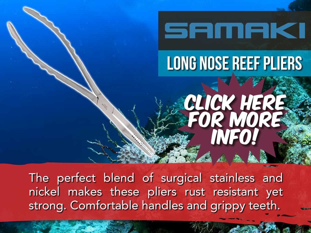 SAMAKI REEF PLIER 290MM - STAINLESS STEEL