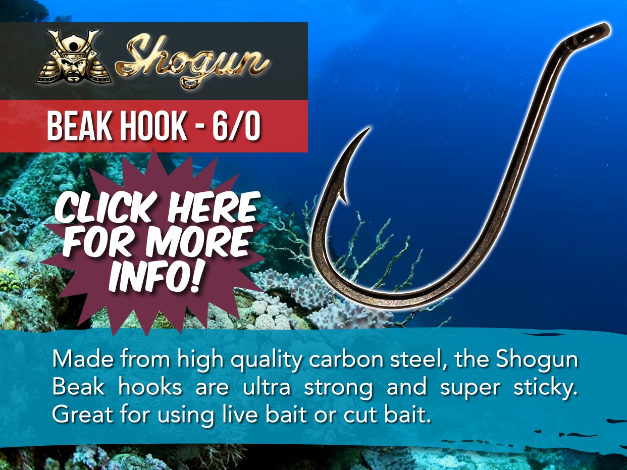SHOGUN BEAK HOOK