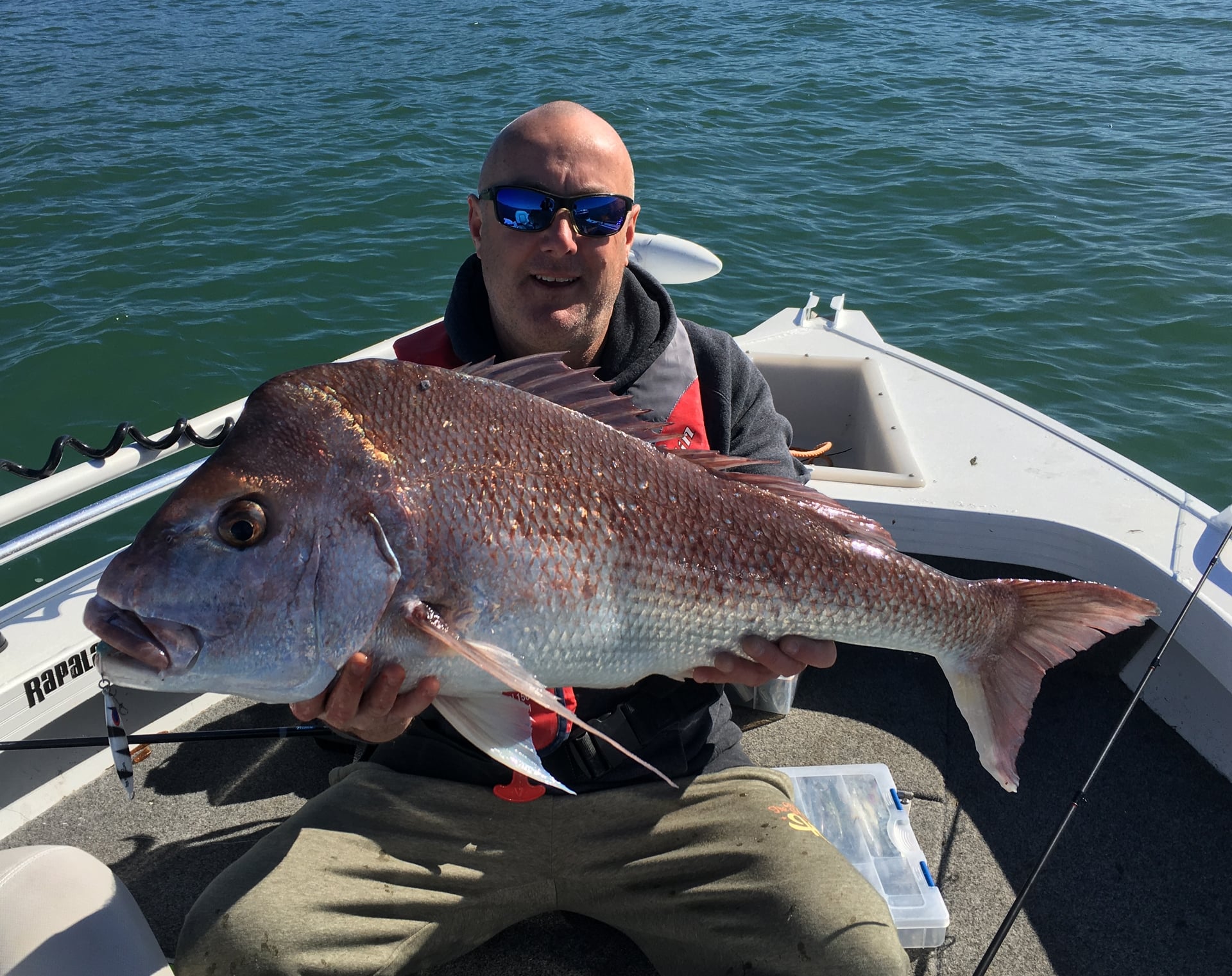 Steve's Snapper