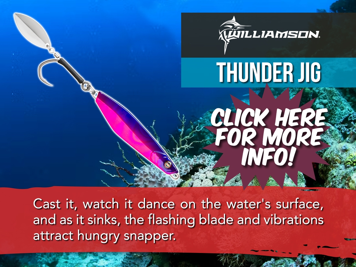 WILLIAMSON THUNDER JIG BLADED LURE