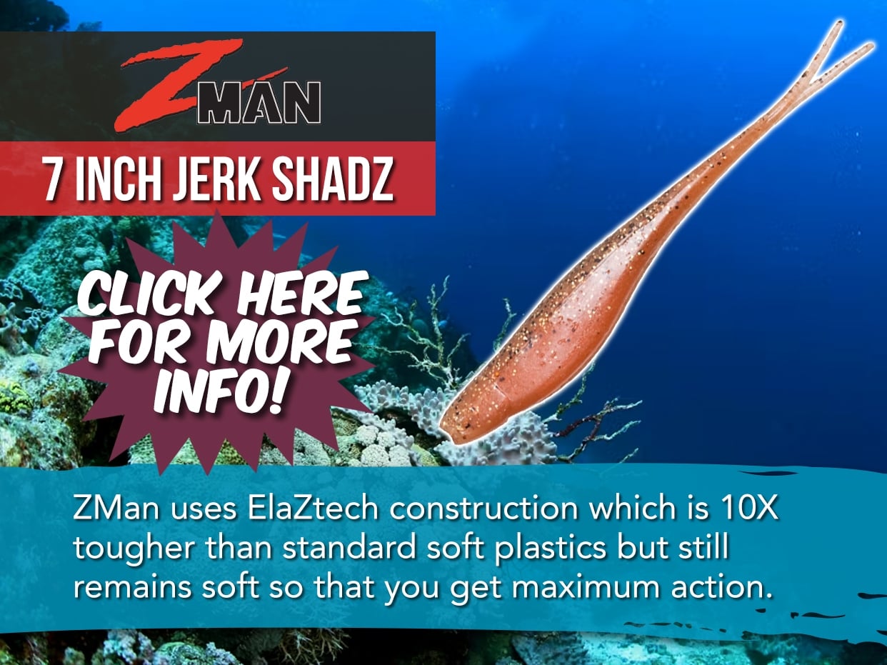 Z-MAN SCENTED JERK SHADZ - 7 INCH LURE