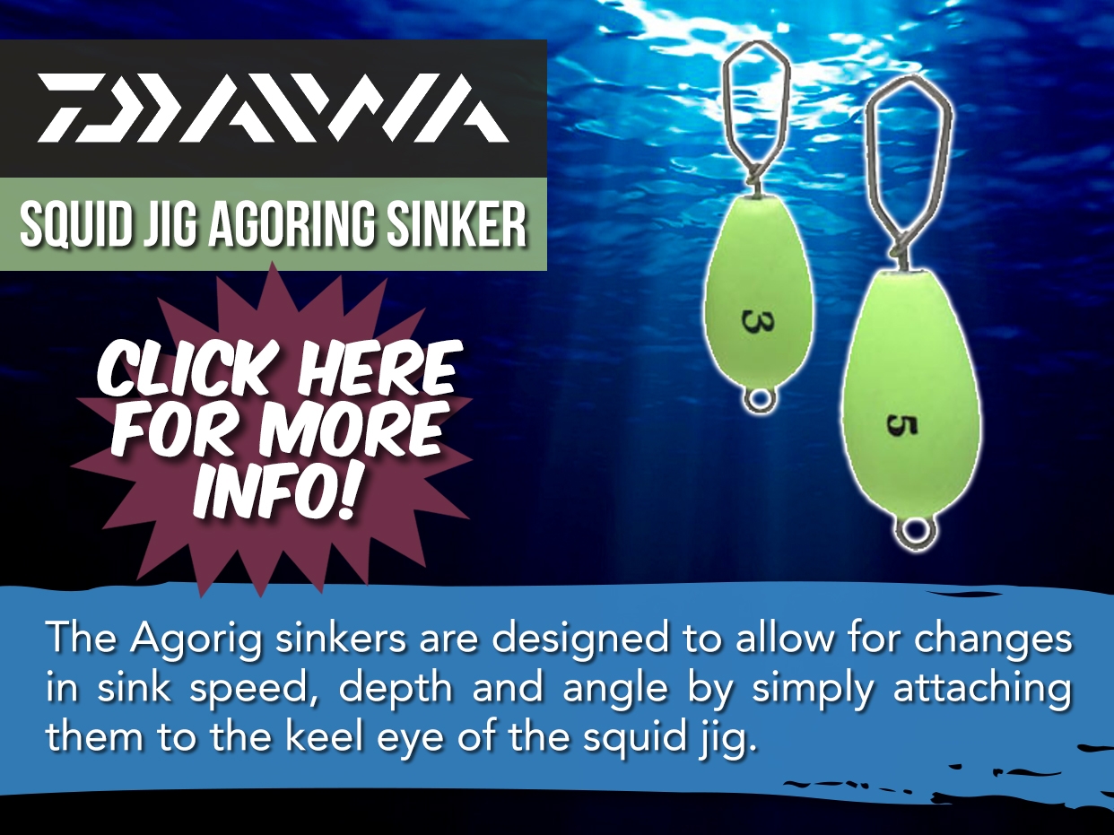 DAIWA SQUID JIG AGORIG SINKER