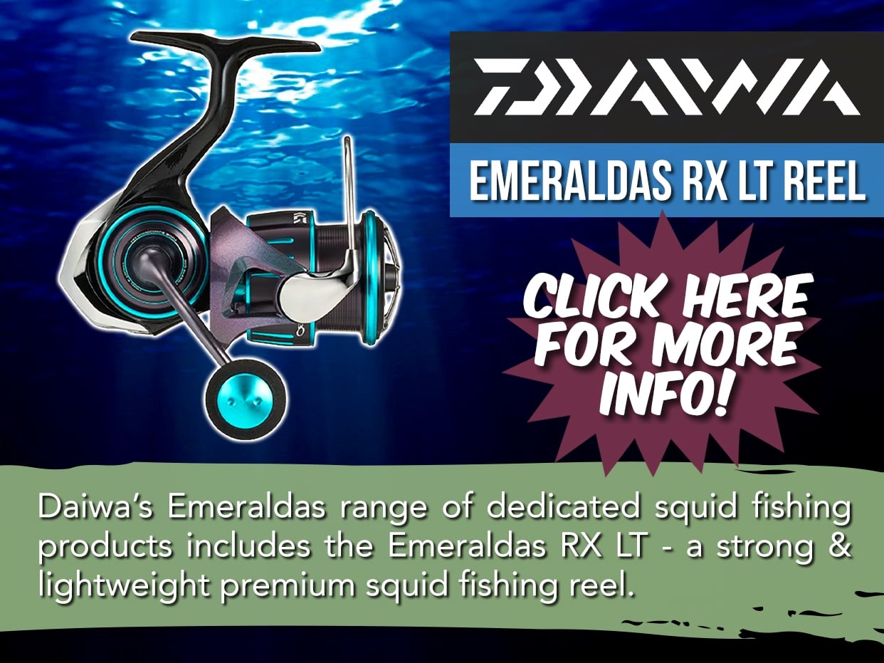 DAIWA 23 EMERALDAS RX LT SPIN REEL