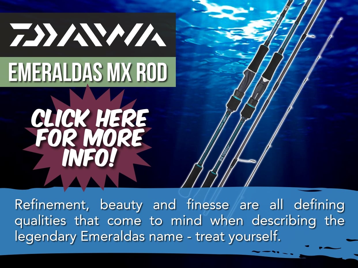 DAIWA EMERALDAS MX ROD