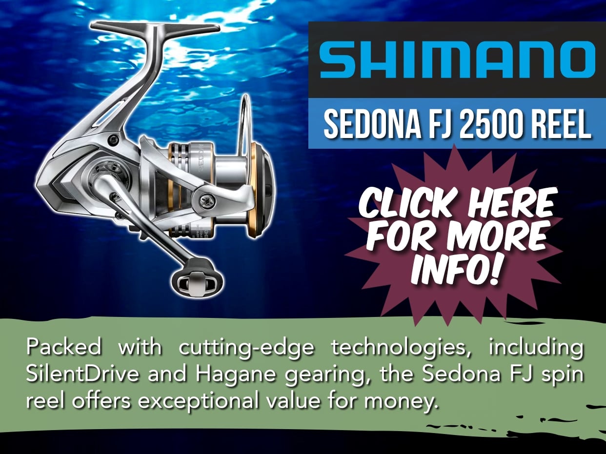SHIMANO SEDONA FJ SPIN REEL