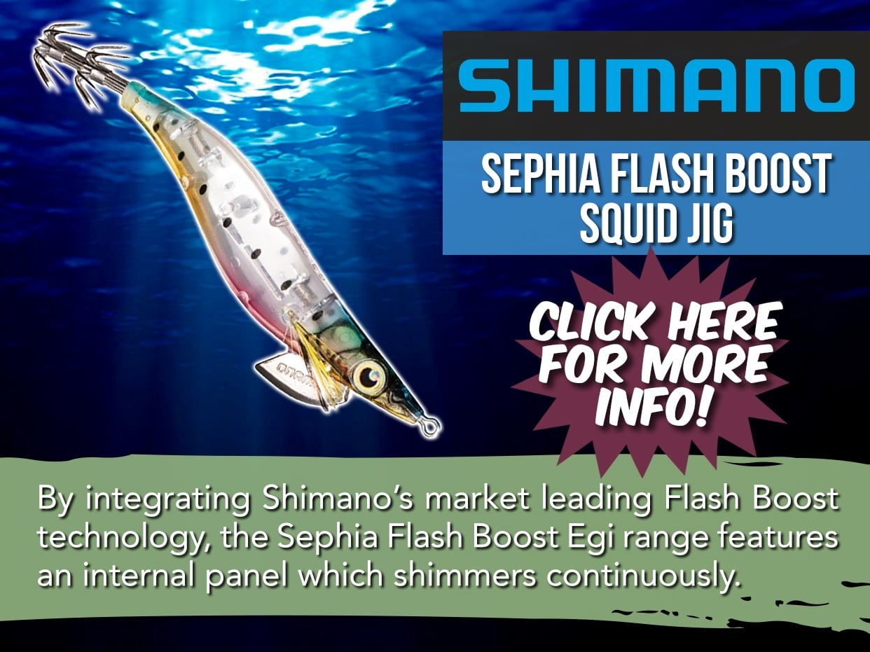 SHIMANO SEPHIA FLASH BOOST SQUID JIG