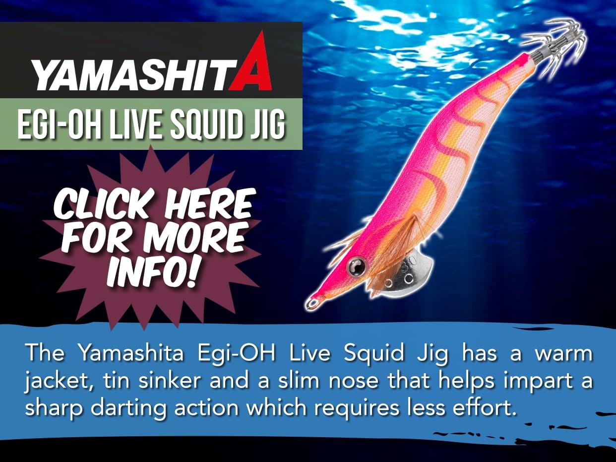 YAMASHITA EGI-OH LIVE SQUID JIG