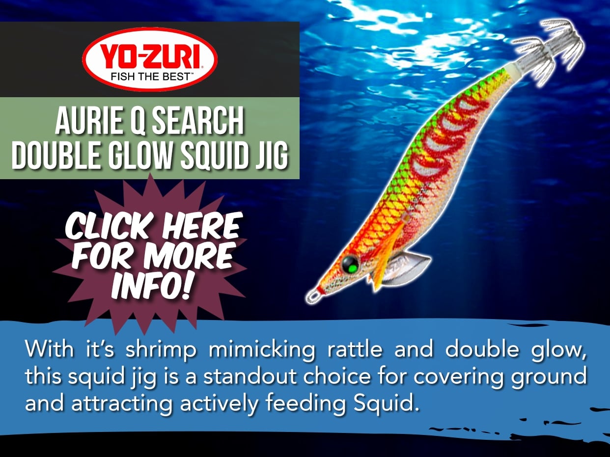 YO-ZURI AURIE Q SEARCH DOUBLE GLOW SQUID JIG