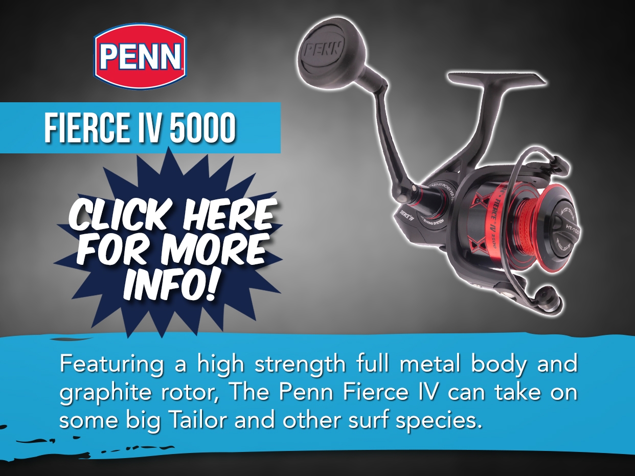 PENN Fierce 5000 Reel