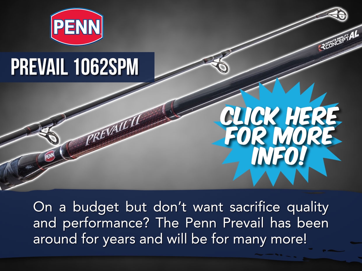 PENN PREVAIL II ROD