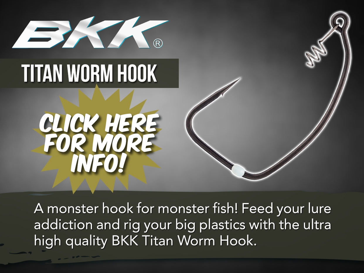 BKK TITAN WORM HOOK