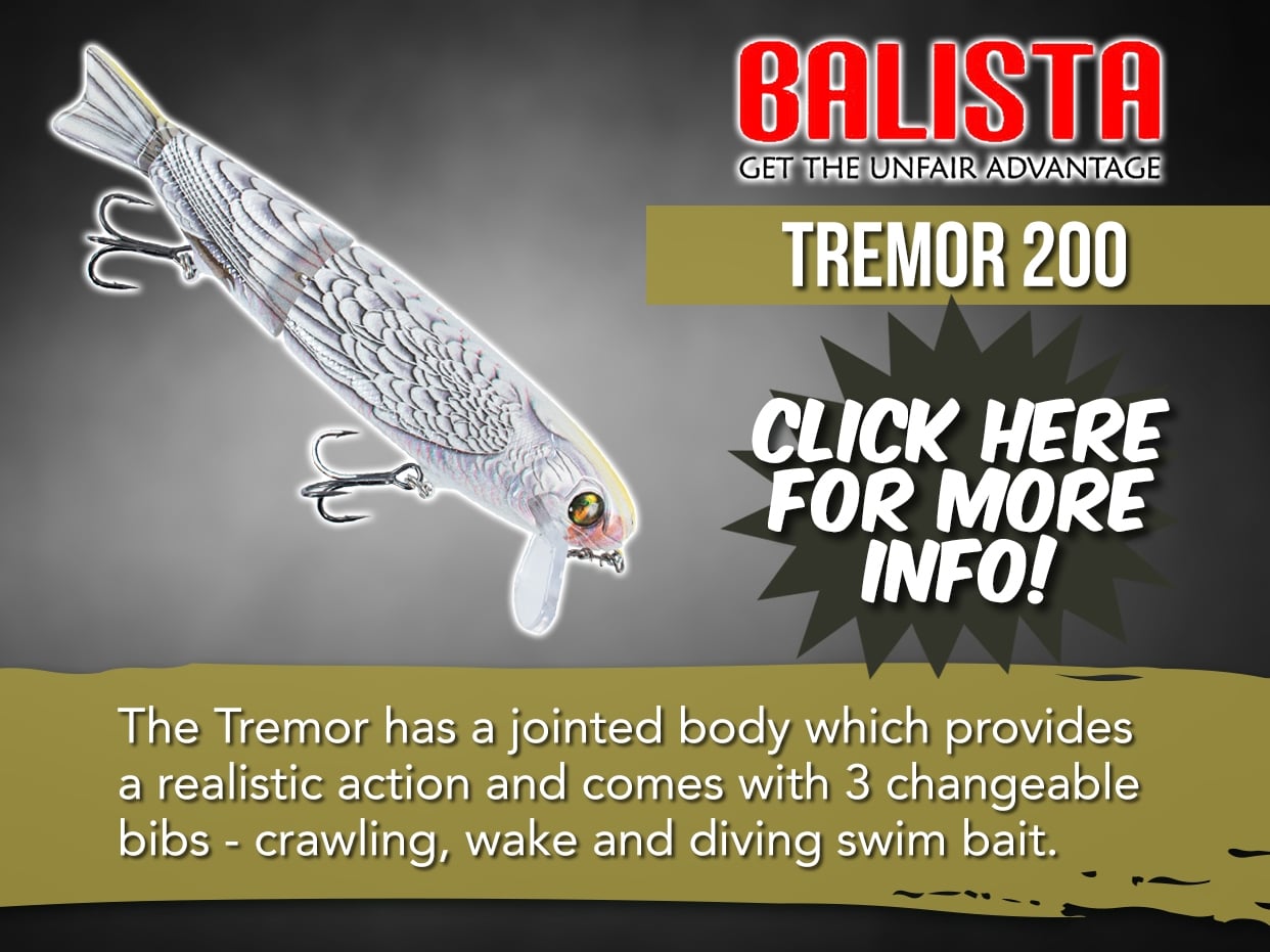 BALISTA TREMOR 200 LURE