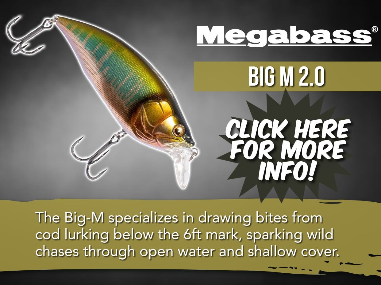 MEGABASS BIG-M 2.0 126MM LURE