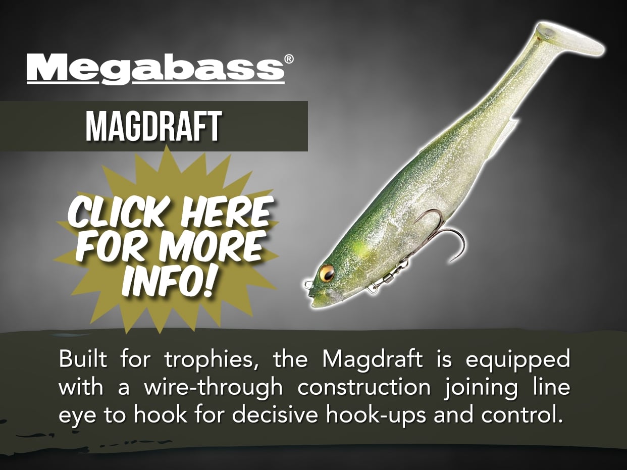 MEGABASS MAGDRAFT