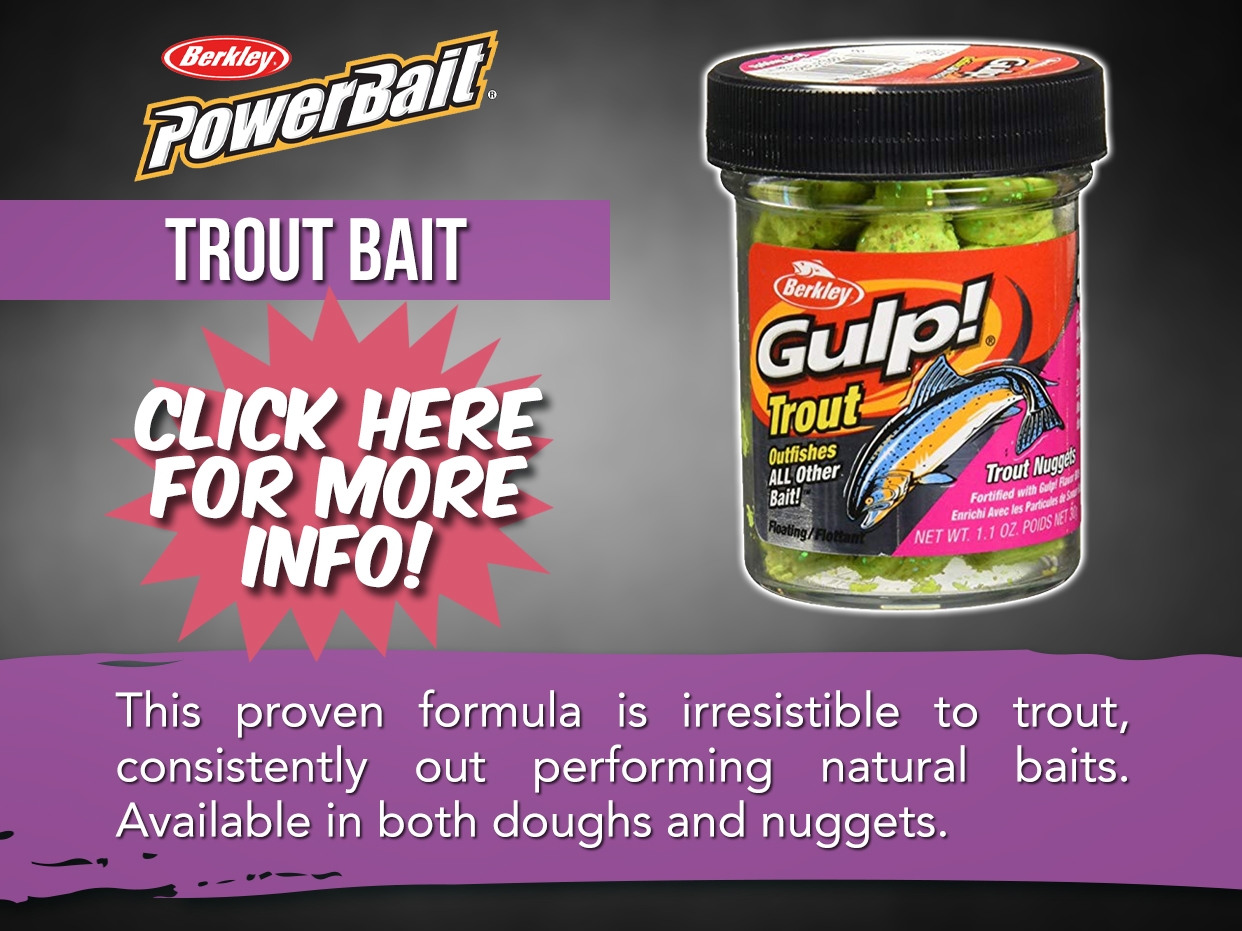 Berkley Trout Bait