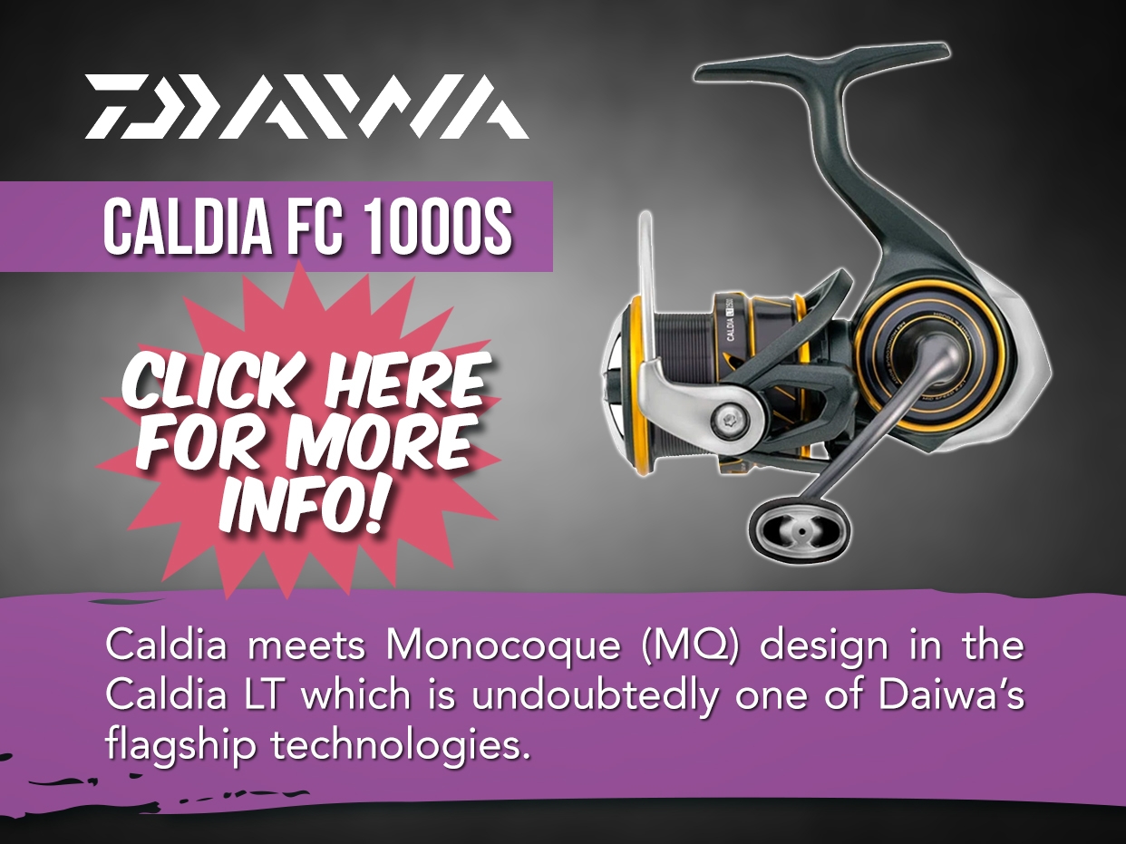 Daiwa Caldia