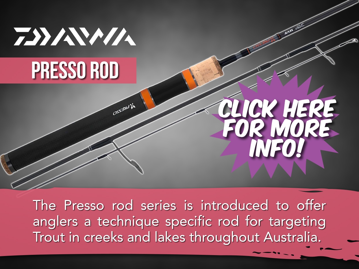 Daiwa Presso Rod