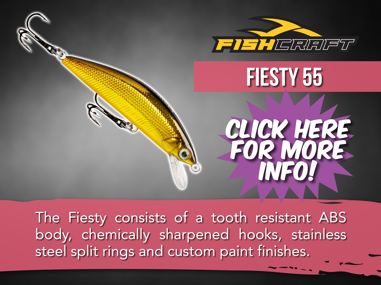 Fishcraft Fiesty 55