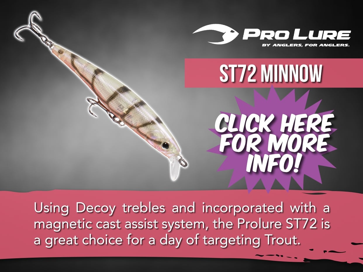 Pro Lure Minnow