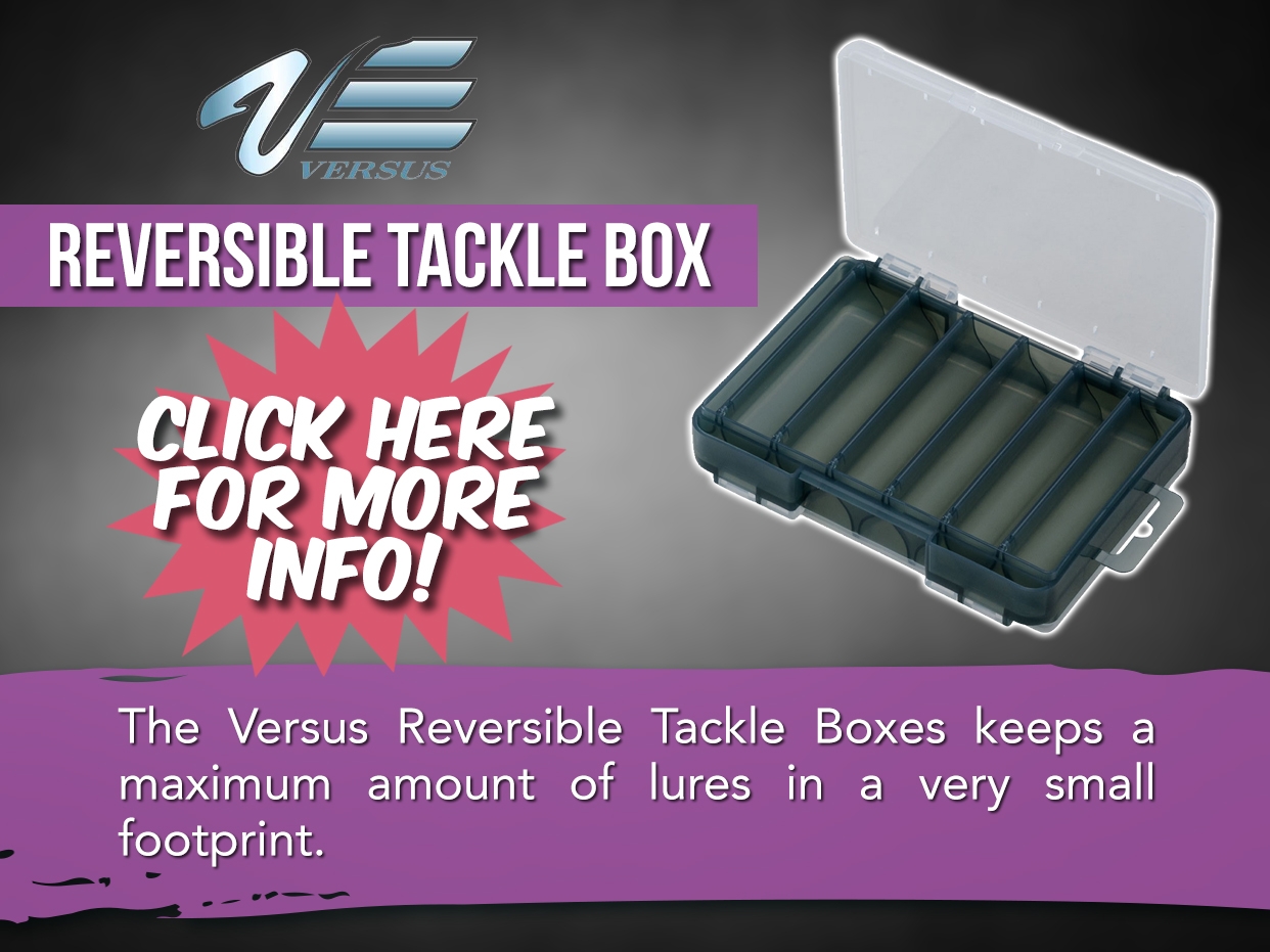 Versus Reversible