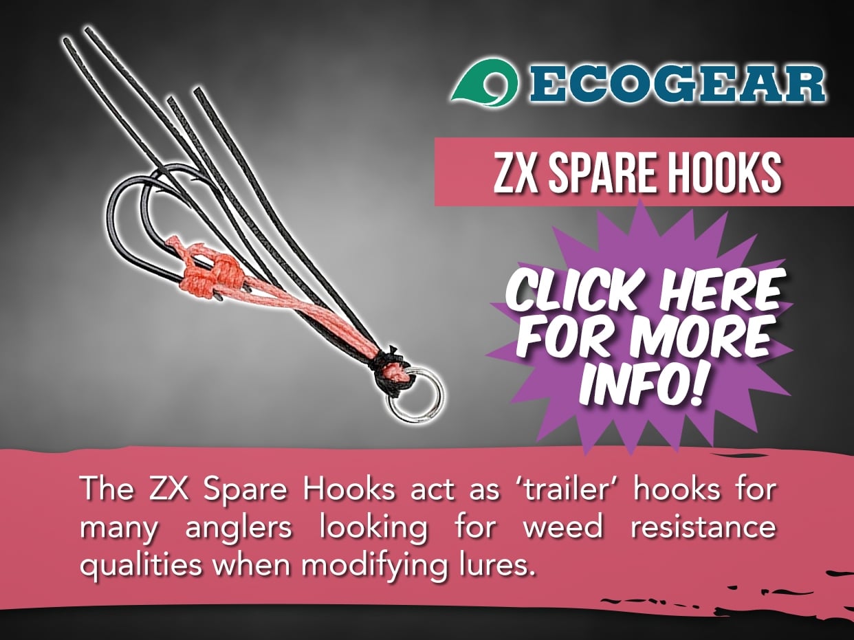 フック Chasing Trout with MoTackle