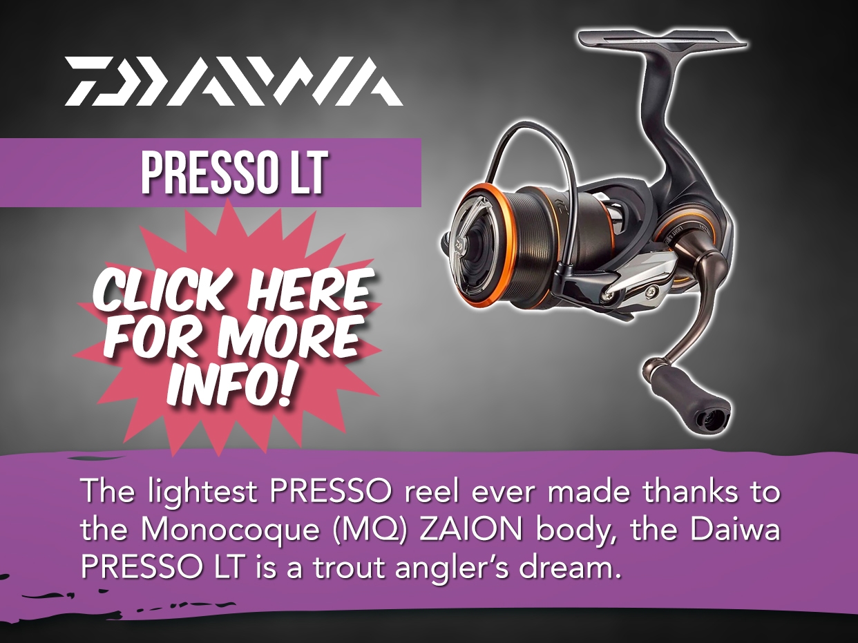 Daiwa Presso LT