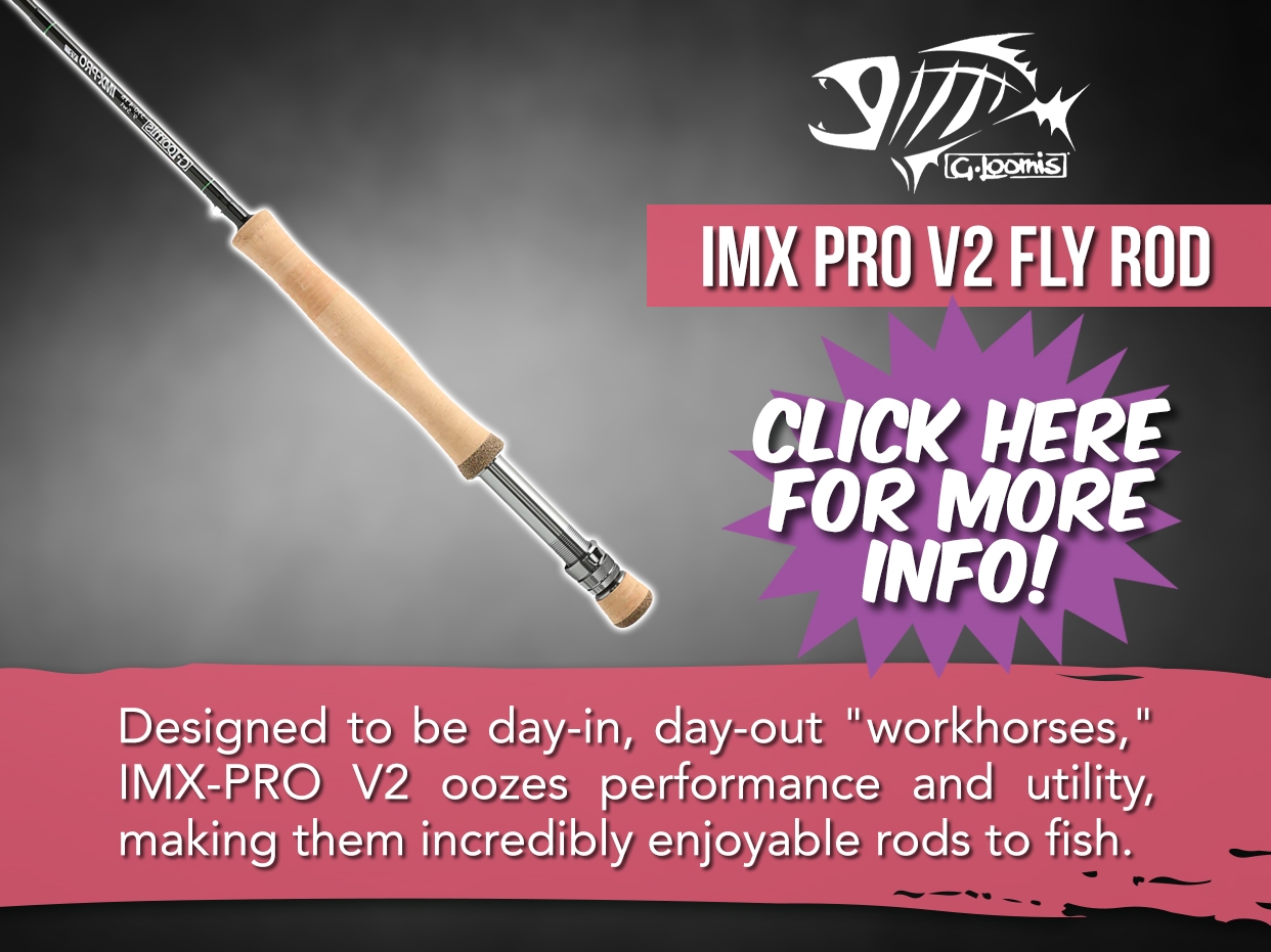 G.LOOMIS IMX PRO V2 FLY ROD