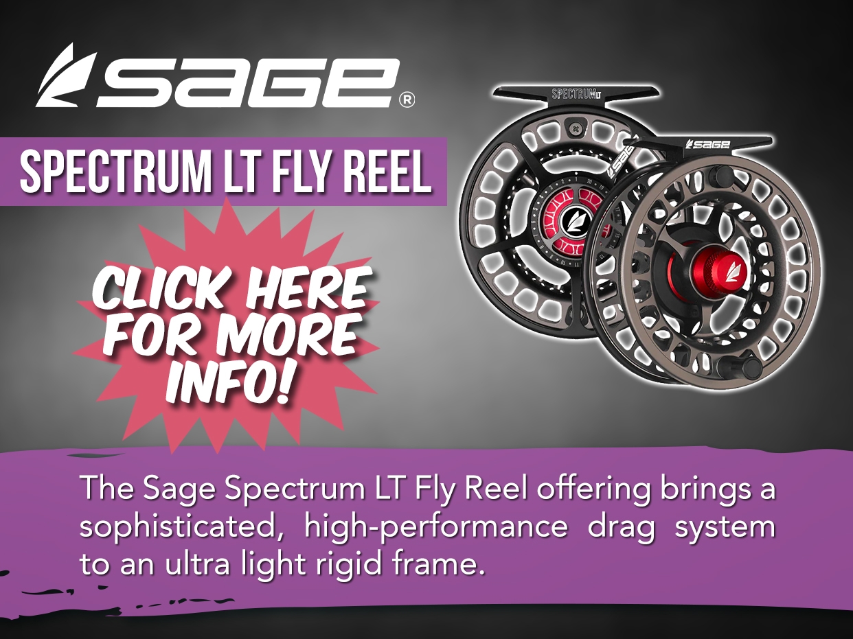 SAGE SPECTRUM LT FLY REEL