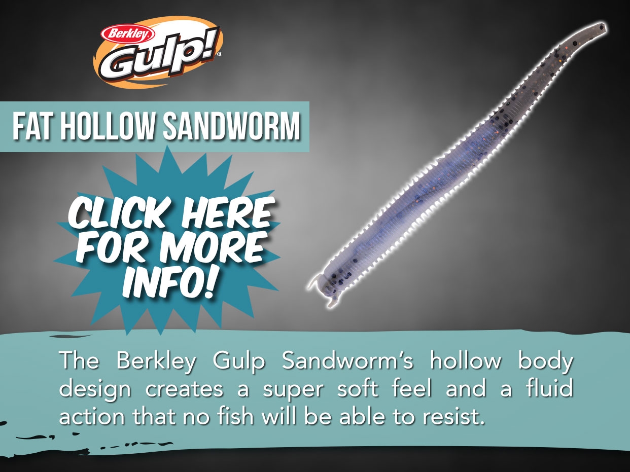 Fat Hollow Sandworm