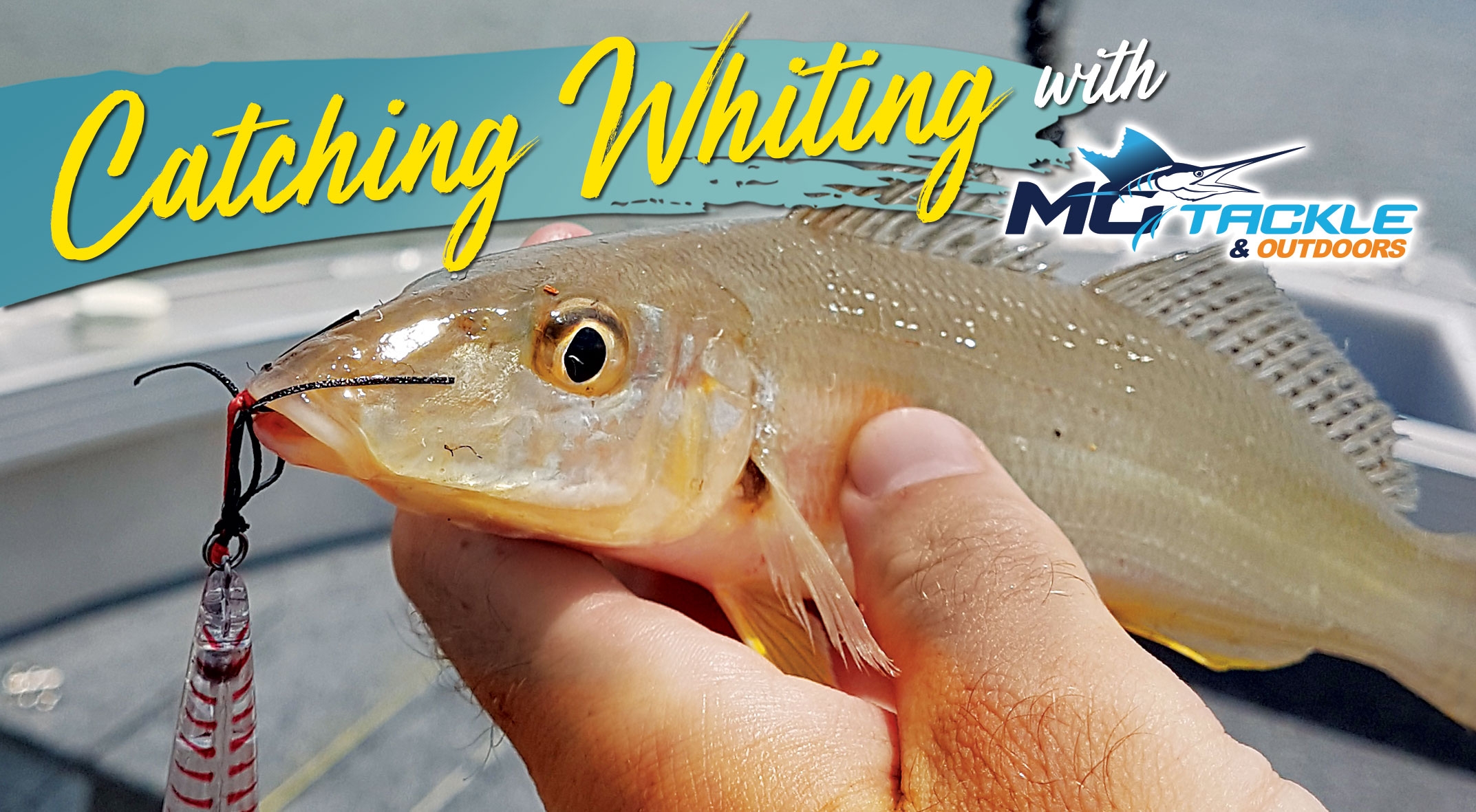 Chasing Sand Whiting With Motackle