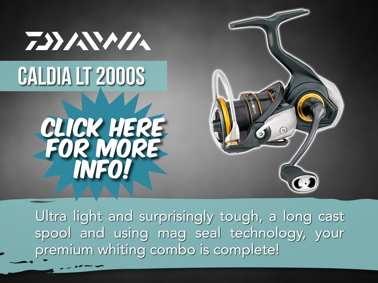 Daiwa Caldia