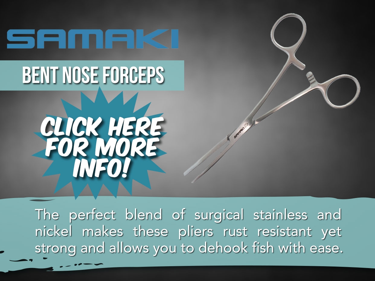 Samaki Forceps