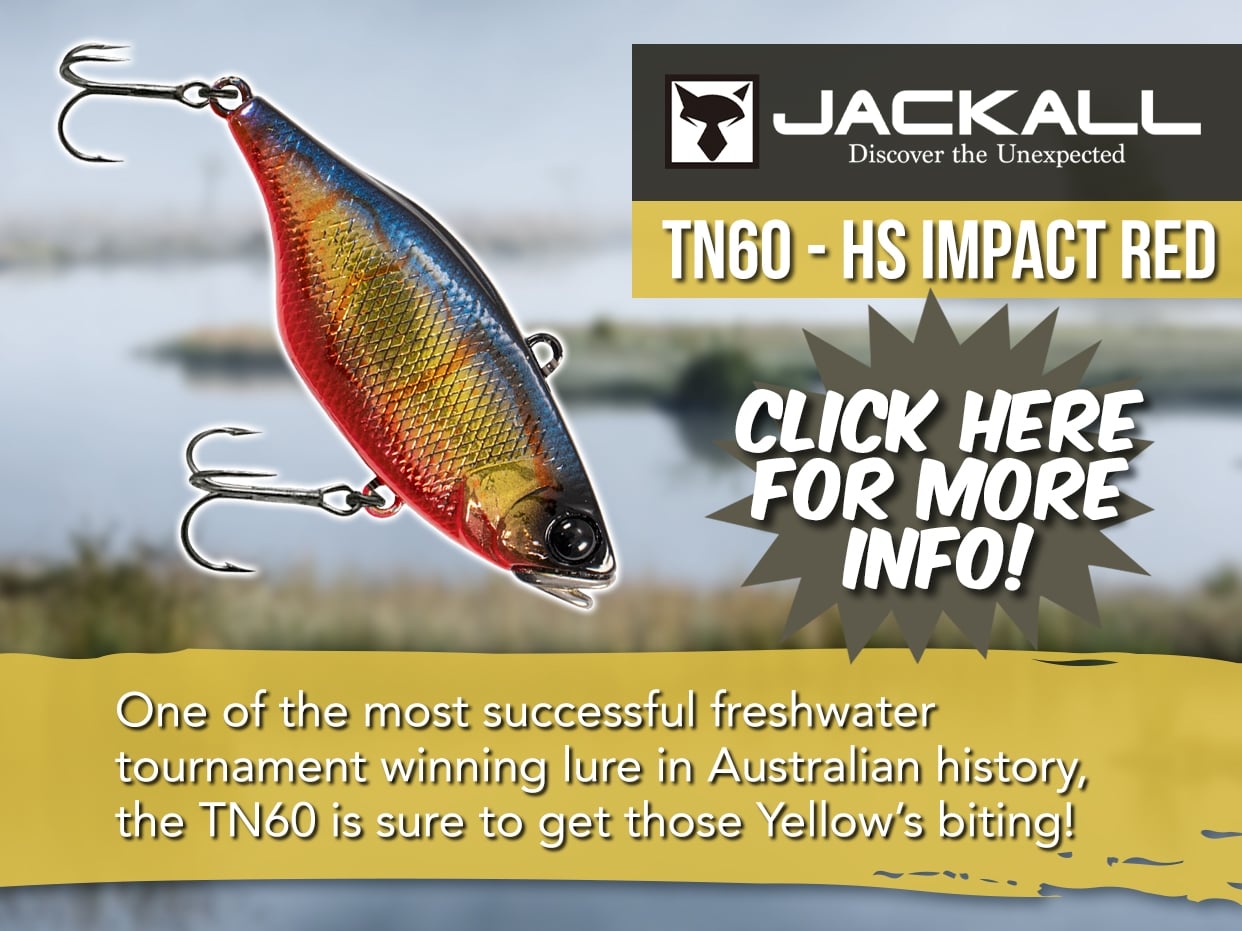 Jackall TN60 Lipless Crankbait
