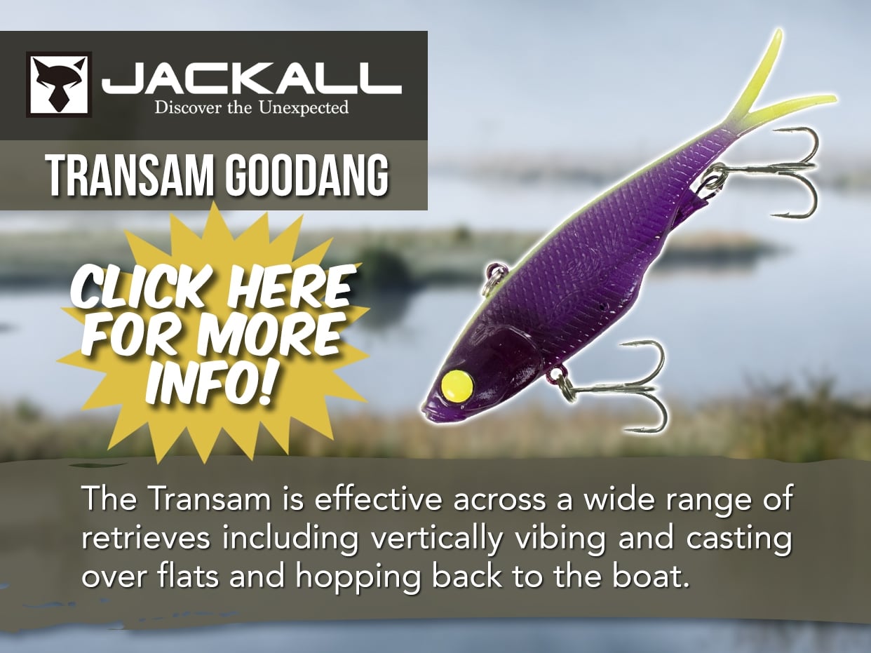 JACKALL TRANSAM 95
