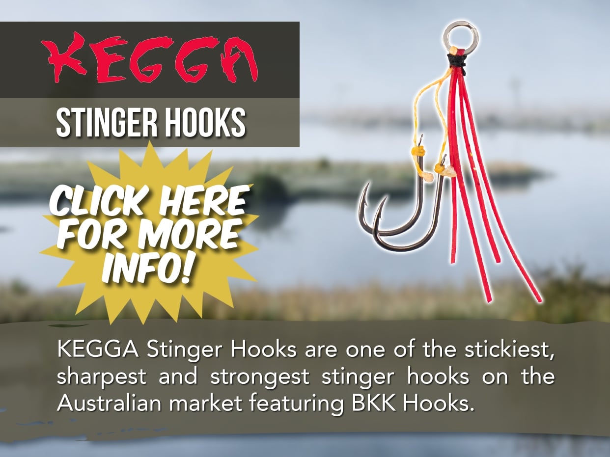 KEGGA STINGER HOOKS