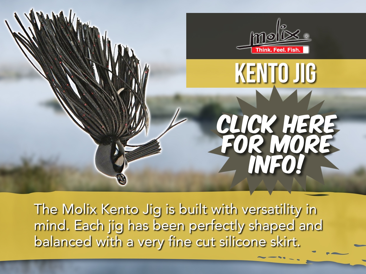 MOLIX KENTO JIG