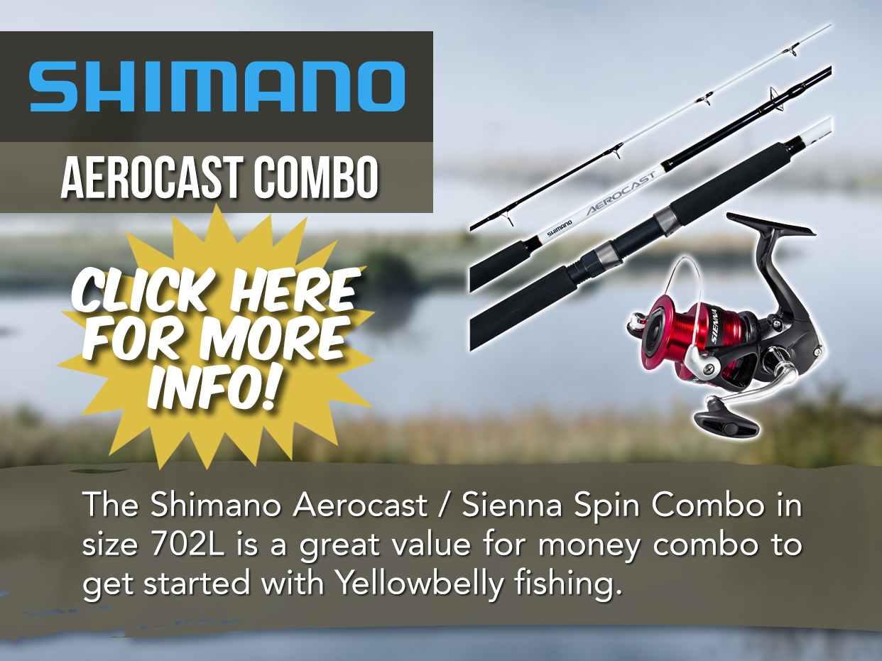 SHIMANO AEROCAST / SIENNA SPIN COMBO