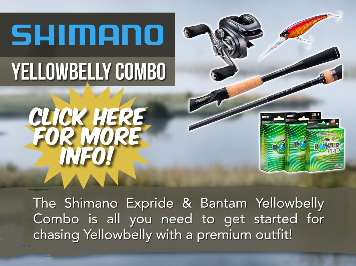 SHIMANO EXPRIDE & BANTAM YELLOWBELLY COMBO