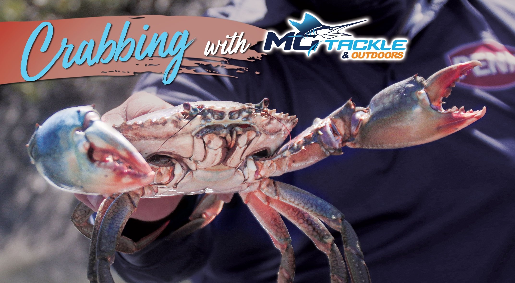 Chasing Mud Crabs With Motackle
