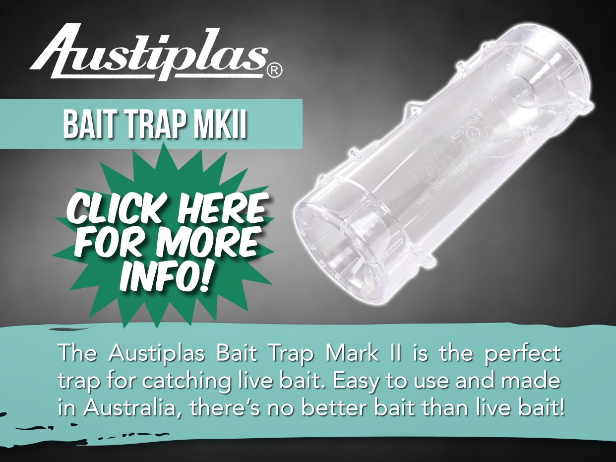 Austiplas Bait Trap MKII
