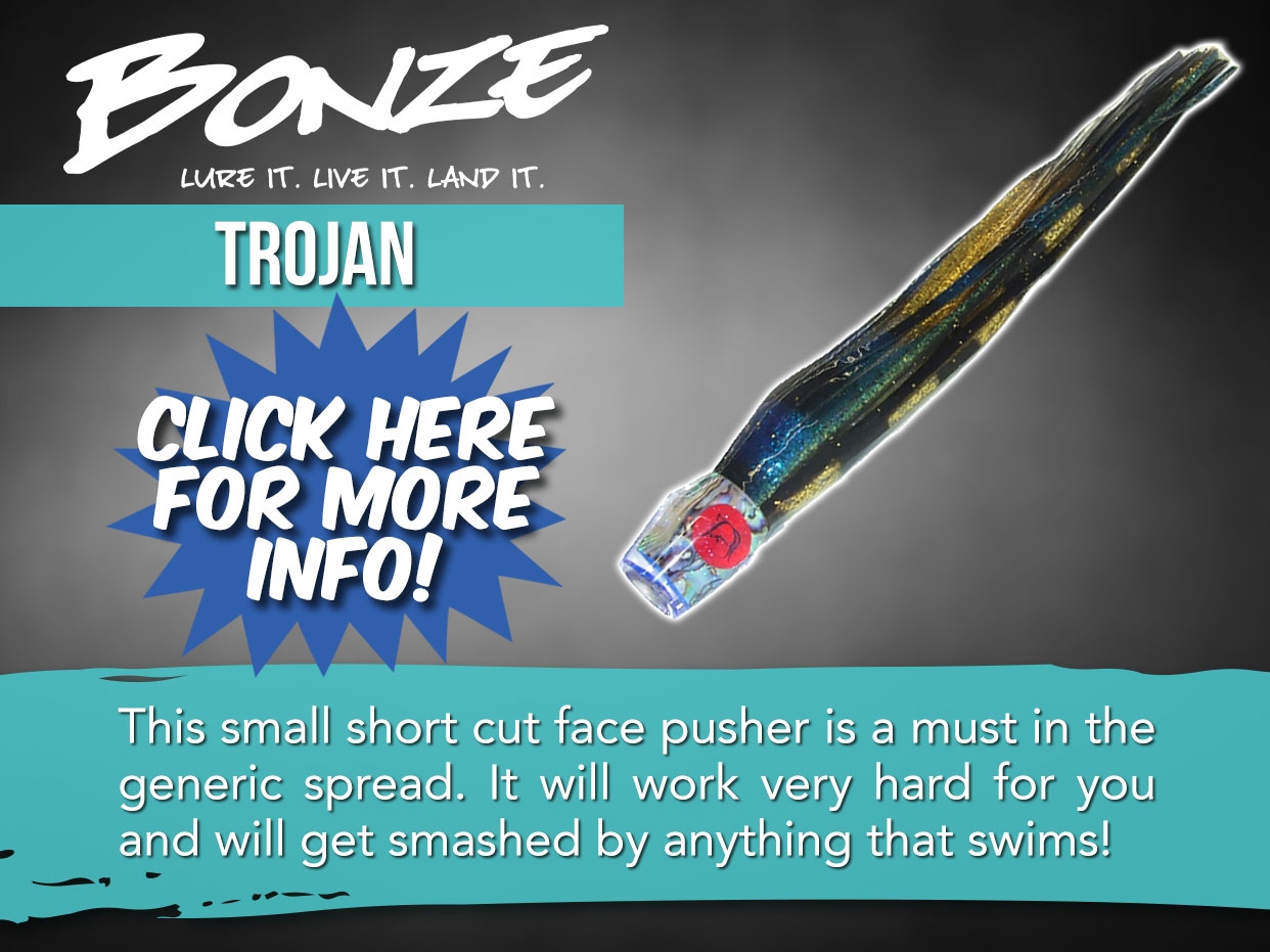 Bonze Trojan