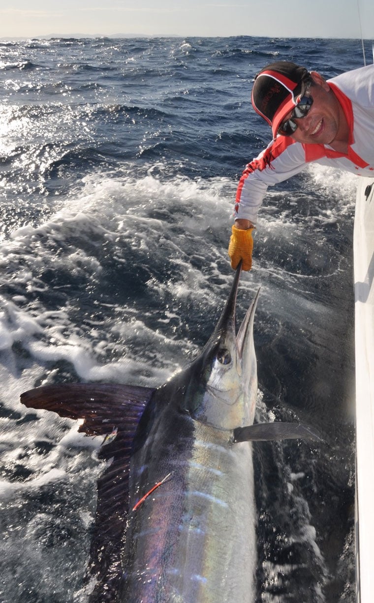 Daran's Marlin