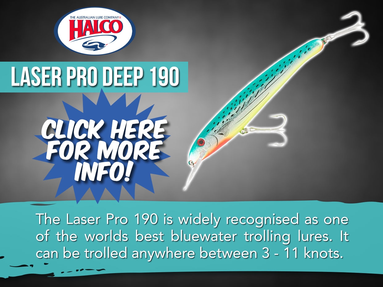 Laser Pro