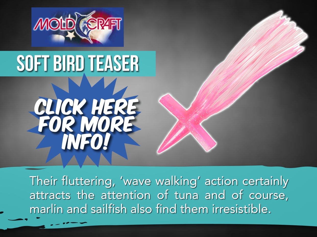 Mold Craft Teaser