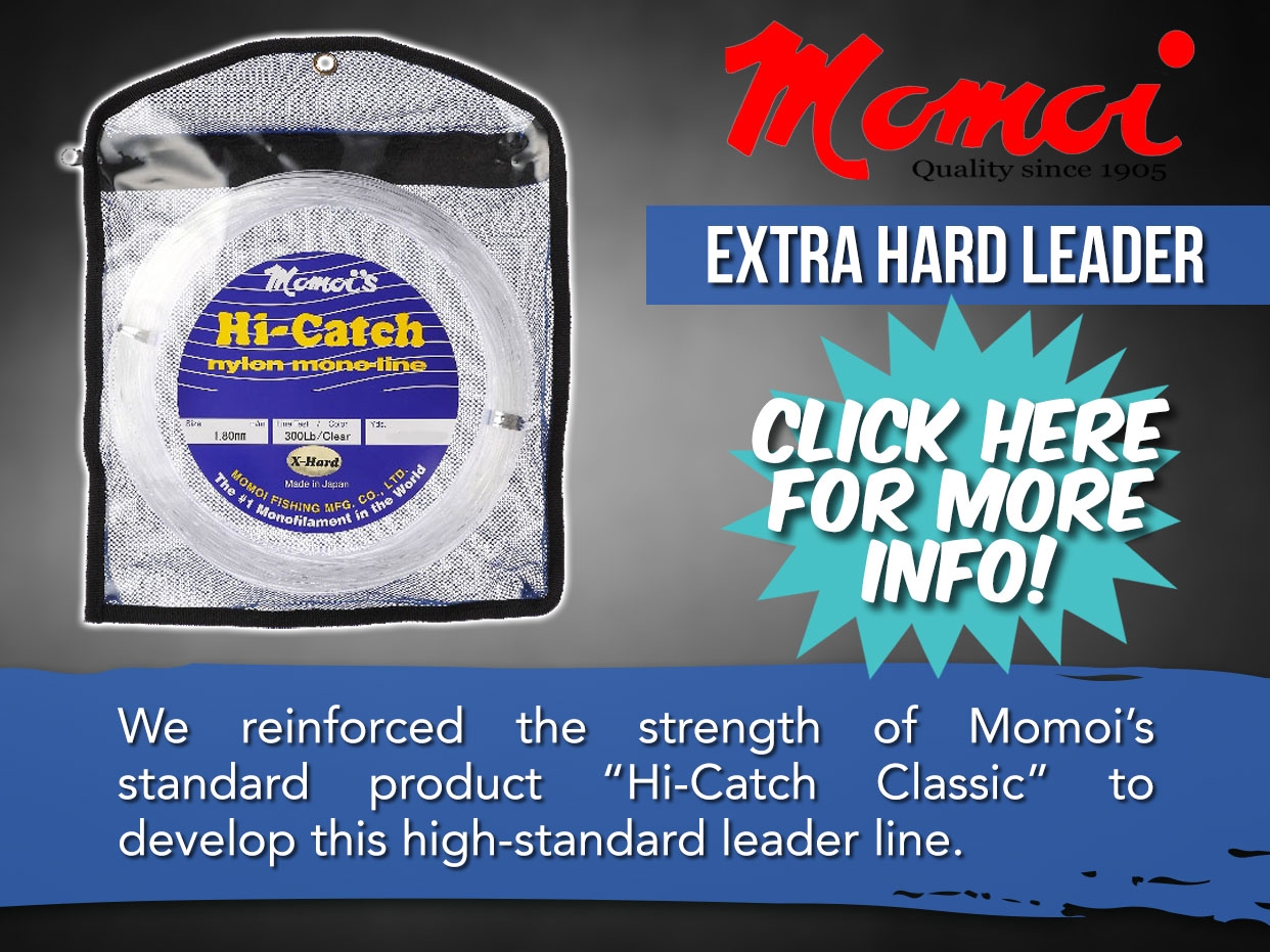 Momoi Leader