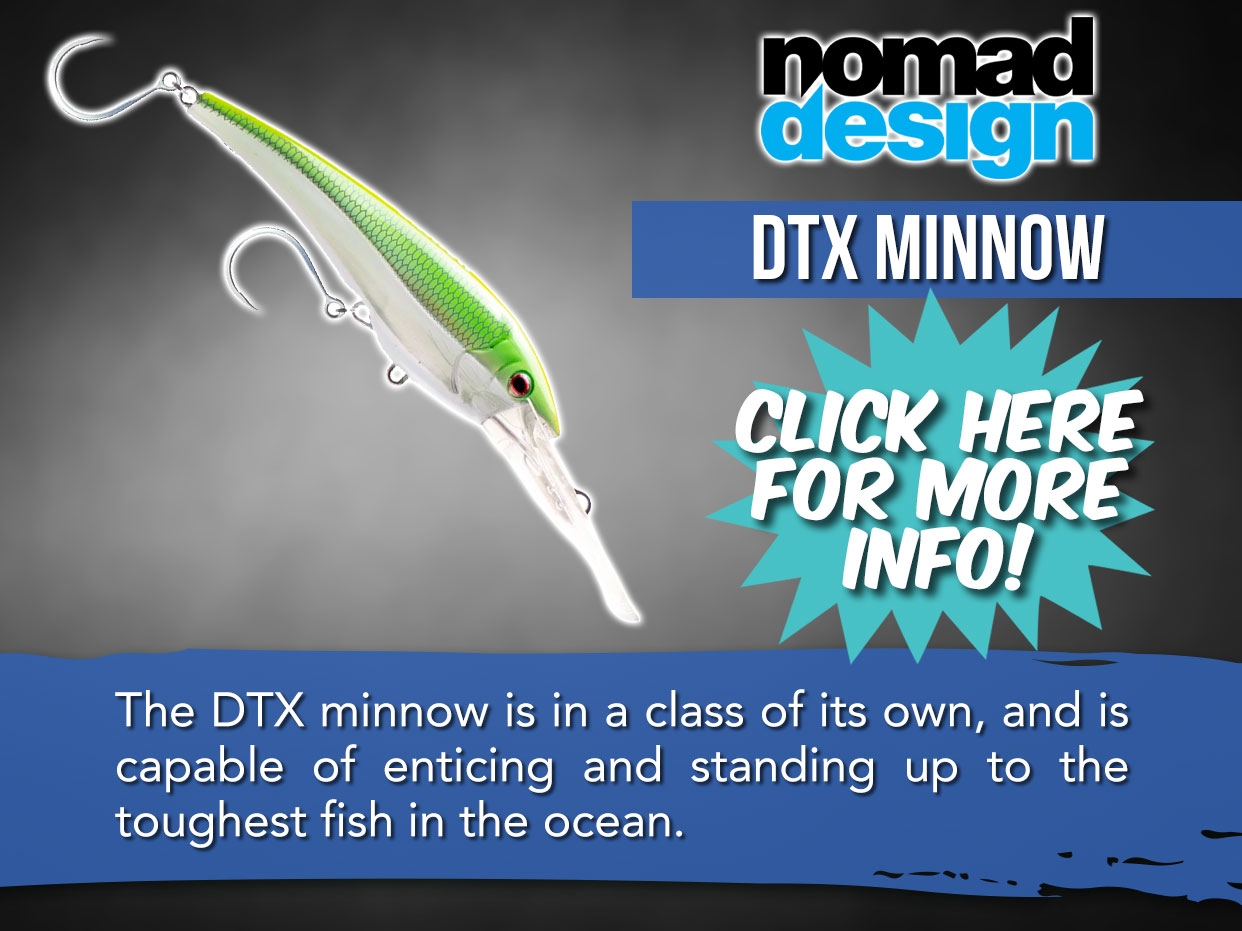 Nomad DTX Minnow