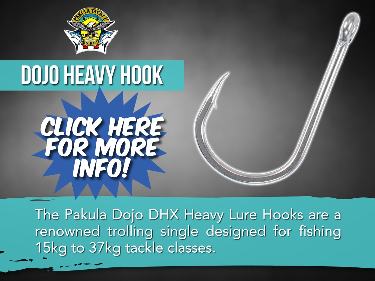Pakula Dojo Hook